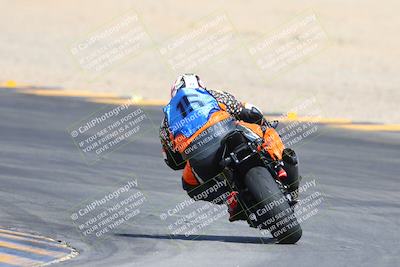 media/Mar-10-2024-SoCal Trackdays (Sun) [[6228d7c590]]/9-Turn 8 Backside (1150am)/